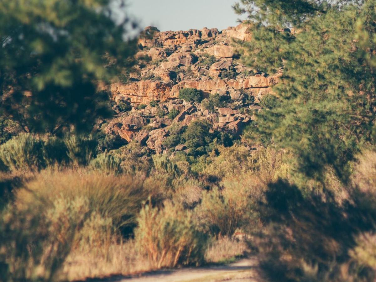 Alpha Excelsior Guest Farm Villa Clanwilliam Buitenkant foto