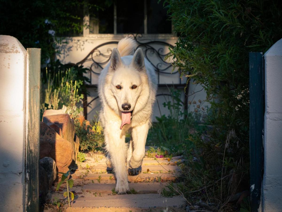 Alpha Excelsior Guest Farm Villa Clanwilliam Buitenkant foto