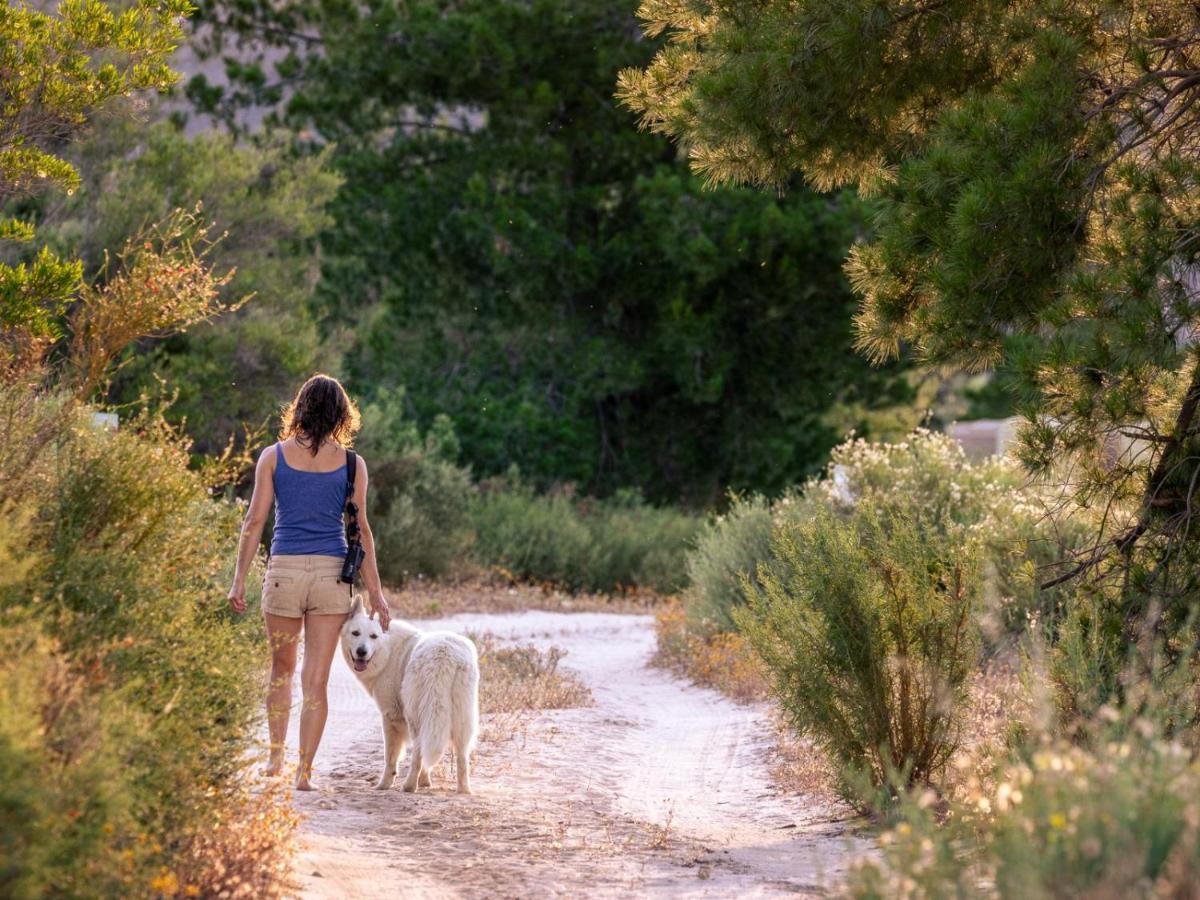 Alpha Excelsior Guest Farm Villa Clanwilliam Buitenkant foto