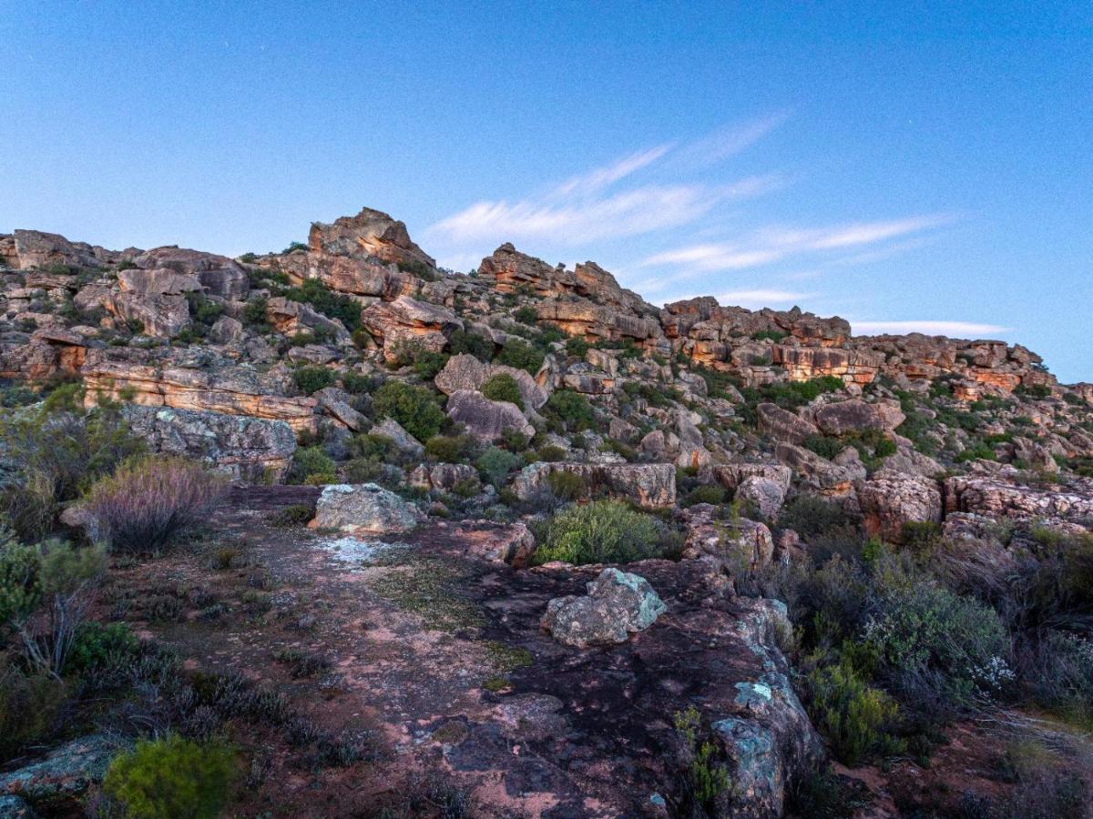 Alpha Excelsior Guest Farm Villa Clanwilliam Buitenkant foto