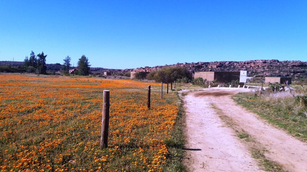 Alpha Excelsior Guest Farm Villa Clanwilliam Buitenkant foto
