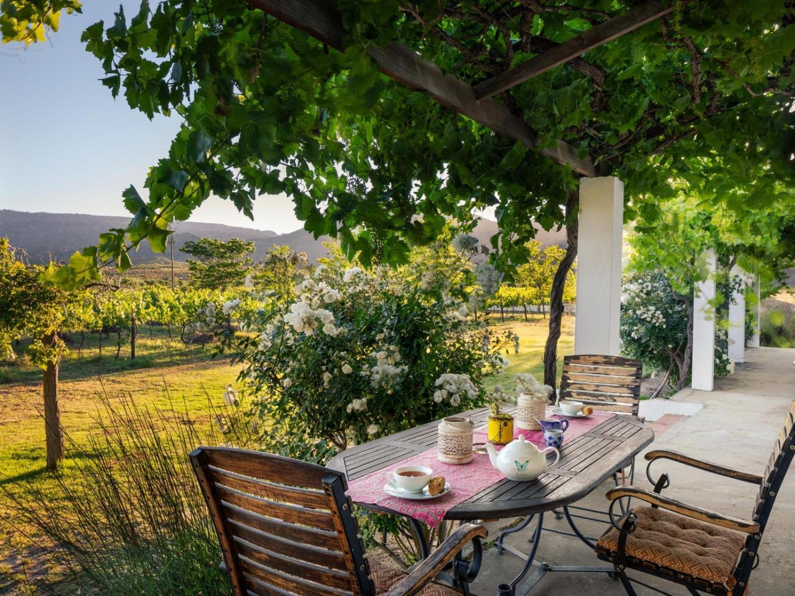 Alpha Excelsior Guest Farm Villa Clanwilliam Kamer foto